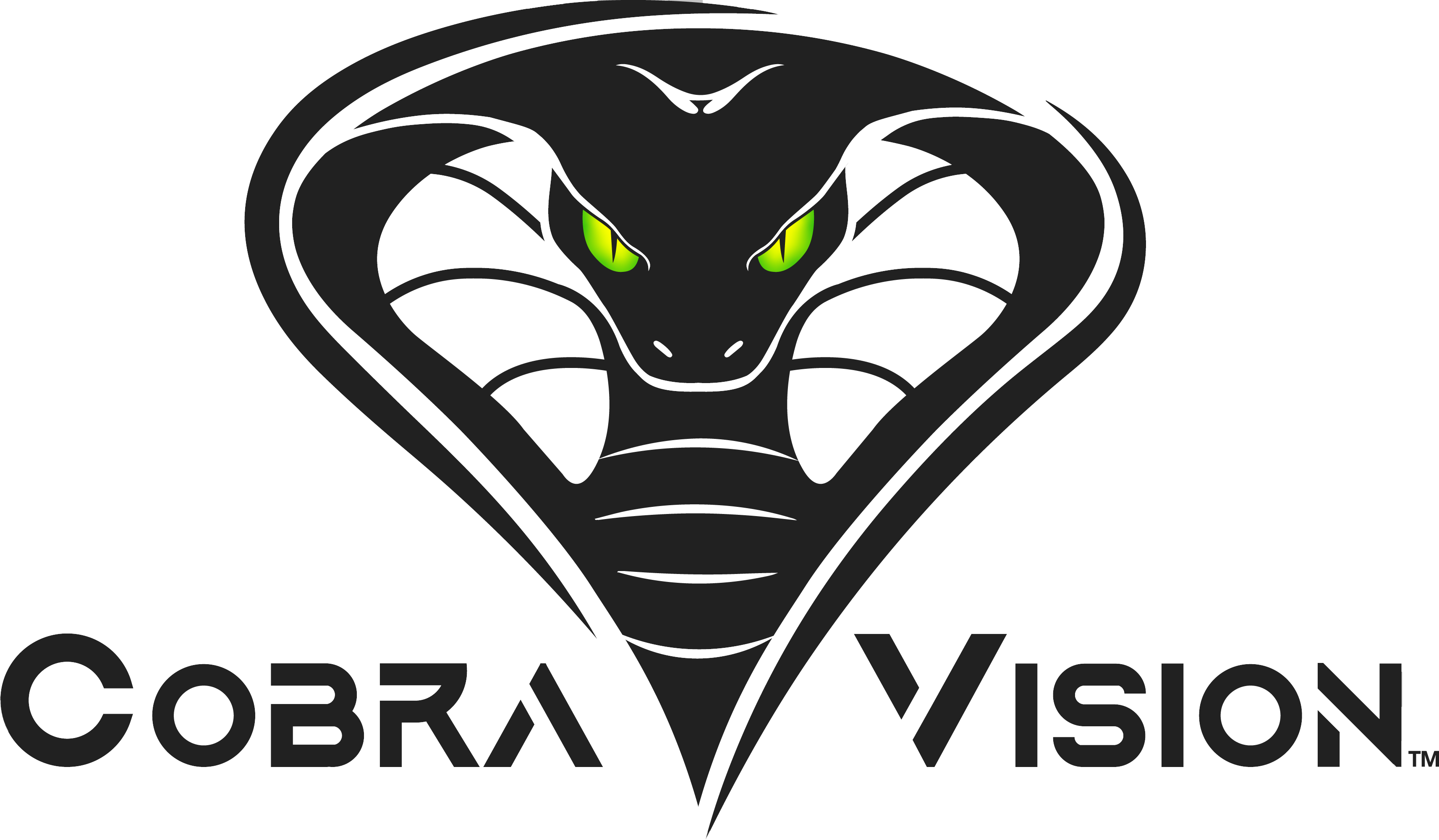 Cobra Vision Logo